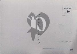 Verso carte postale ancienne vierge